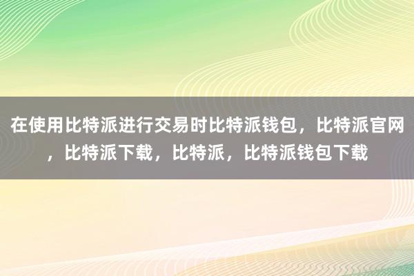 在使用比特派进行交易时比特派钱包，比特派官网，比特派下载，比特派，比特派钱包下载