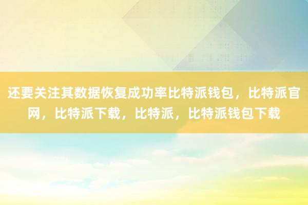 还要关注其数据恢复成功率比特派钱包，比特派官网，比特派下载，比特派，比特派钱包下载