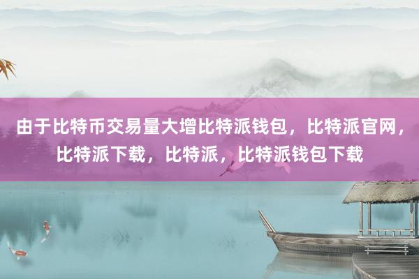 由于比特币交易量大增比特派钱包，比特派官网，比特派下载，比特派，比特派钱包下载