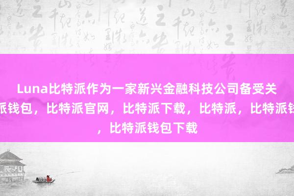 Luna比特派作为一家新兴金融科技公司备受关注比特派钱包，比特派官网，比特派下载，比特派，比特派钱包下载