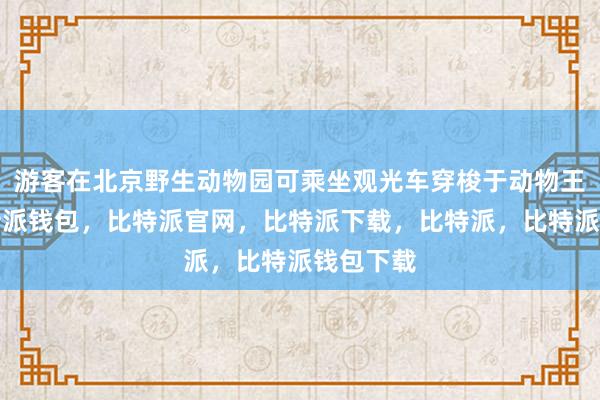 游客在北京野生动物园可乘坐观光车穿梭于动物王国中比特派钱包，比特派官网，比特派下载，比特派，比特派钱包下载