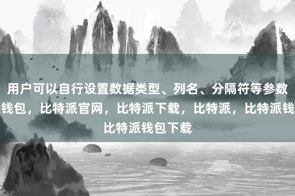 用户可以自行设置数据类型、列名、分隔符等参数比特派钱包，比特派官网，比特派下载，比特派，比特派钱包下载