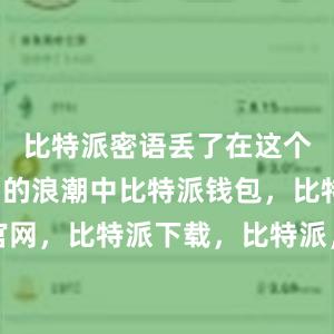 比特派密语丢了在这个数字货币的浪潮中比特派钱包，比特派官网，比特派下载，比特派，比特派钱包下载