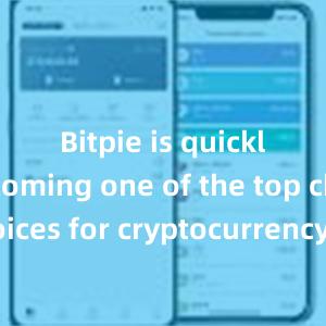 Bitpie is quickly becoming one of the top choices for cryptocurrency enthusiasts worldwide.比特派钱包，比特派官网，比特派下载，比特派，比特派钱包下载