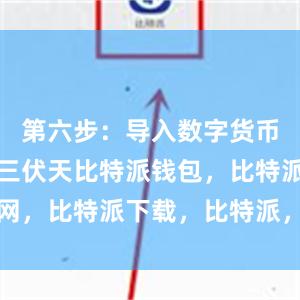 第六步：导入数字货币资产盛夏三伏天比特派钱包，比特派官网，比特派下载，比特派，比特派钱包下载